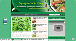Desktop Screenshot of chuabenhdongduoc.com